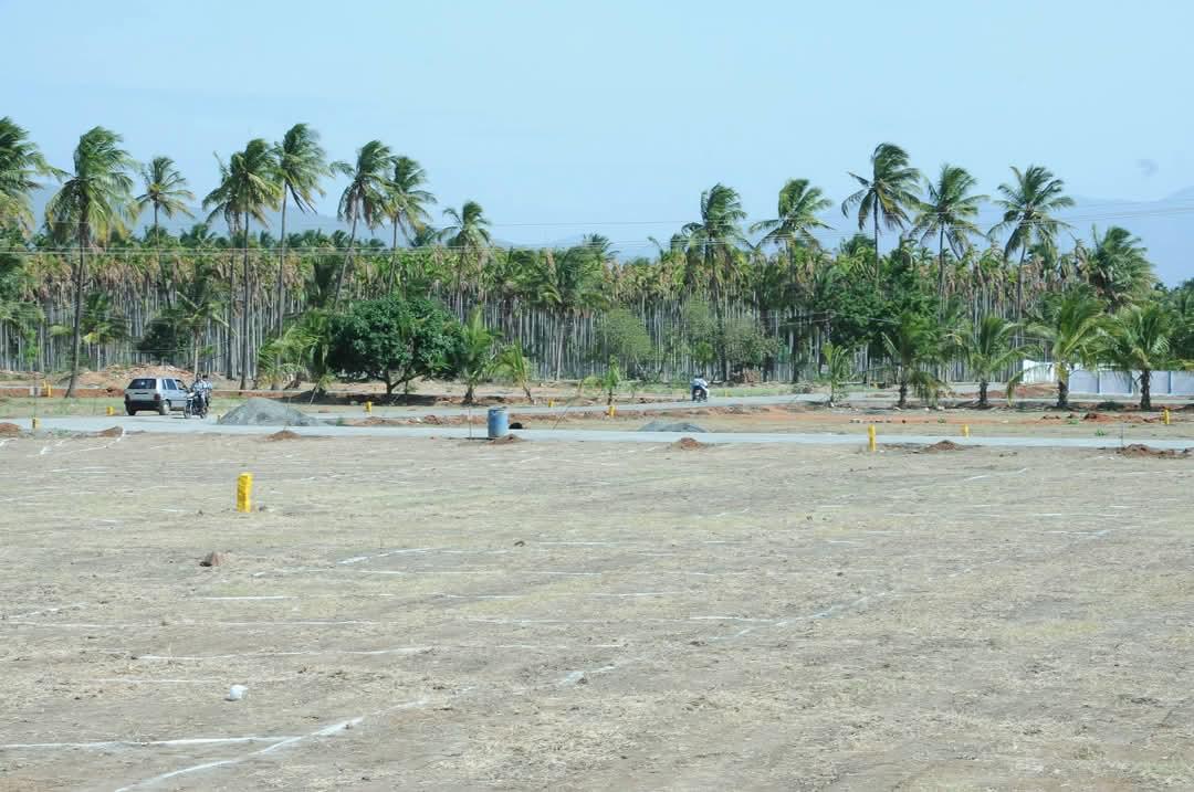 Green Spaces and Walking Trails